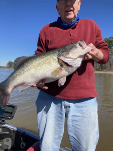 Bass Paradise In Sam Rayburn 